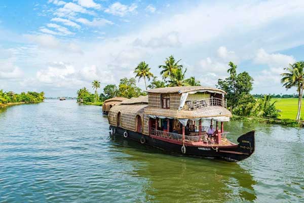 nifs travel