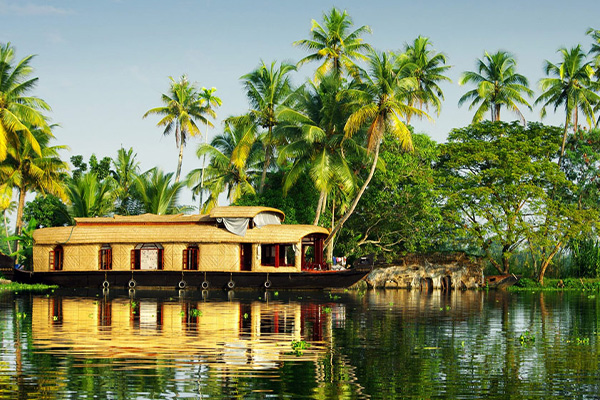 nifs travel