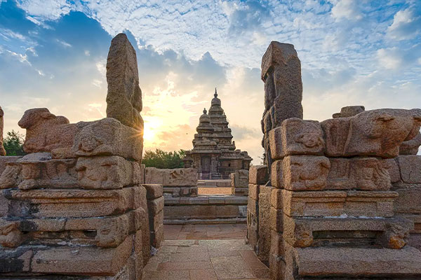 nifs travel