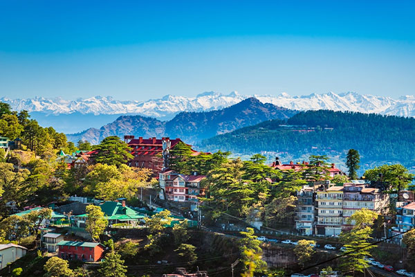 nifs travel